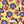 Nelly Floral - PLDM2269