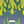 PLDM2270-MalevolentFlames - Zoomview