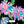 Highline Bouquet - PLDM2274
