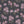 PLDM2275-RosesAreRed - Colorway 3