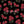 PLDM2275-RosesAreRed - Colorway 4