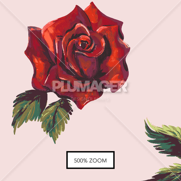 PLDM2275-RosesAreRed - Zoomview