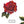 PLDM2275-RosesAreRed - Layered