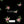 PLDM2276-PolinaPomPom -Zoomview