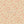 PLDM2278-KennedyDaisy- Colorway 3
