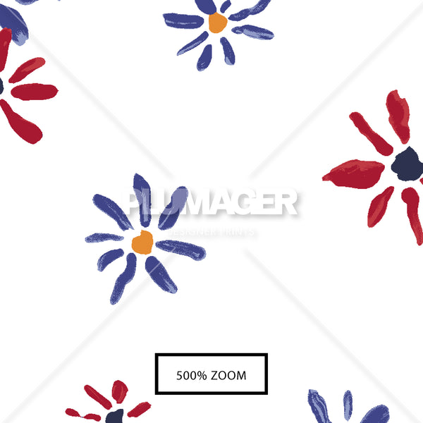 PLDM2278-KennedyDaisy- Zoomview