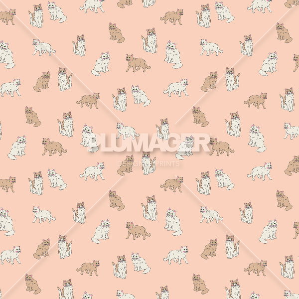 PLDM2286-KittyCoalition- Colorway 1