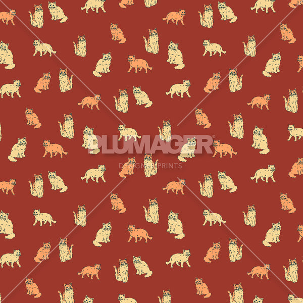 PLDM2286-KittyCoalition- Colorway 3