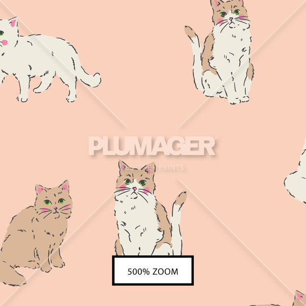 PLDM2286-KittyCoalition-  Zoomview