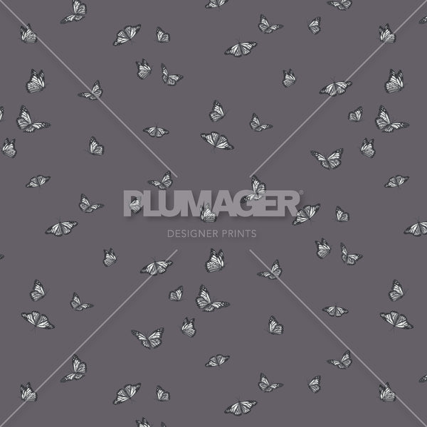 PLDM2287-MinorMonarchs - Colorway 2