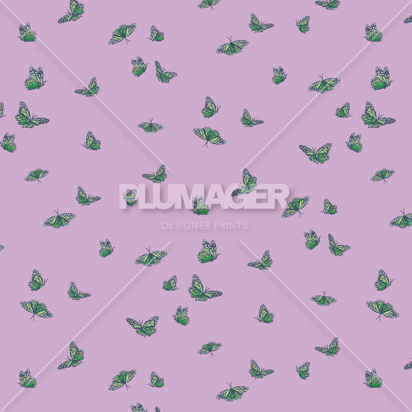 PLDM2287-MinorMonarchs - Colorway 5