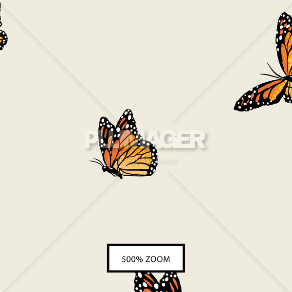 PLDM2287-MinorMonarchs - Zoomview 