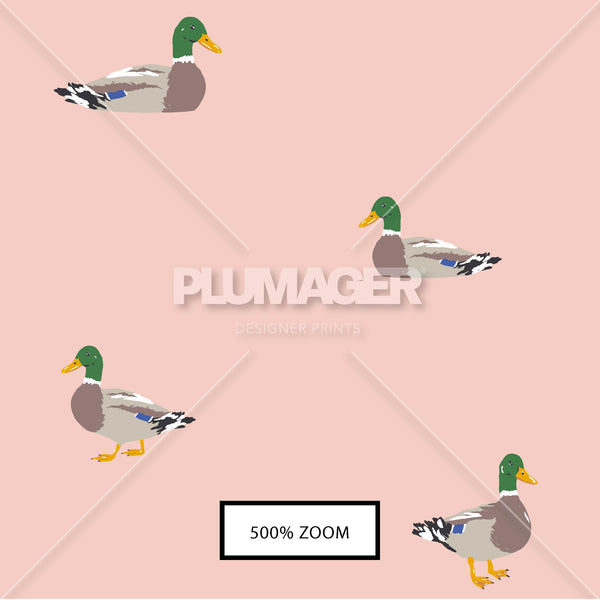 PLDM2288-MajesticMallards - Zoomview 
