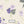 Violet Society - Zoomview
