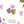 Violet Society - PLDM2290