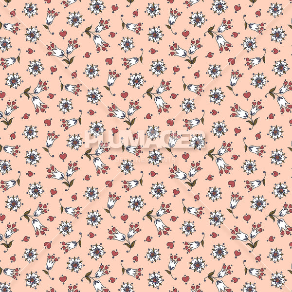 Ana Ascot - PLDM2294