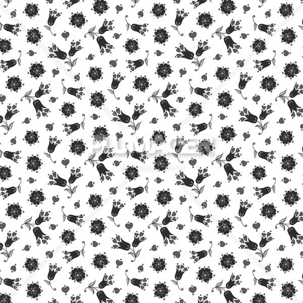 Ana Ascot - PLDM2294