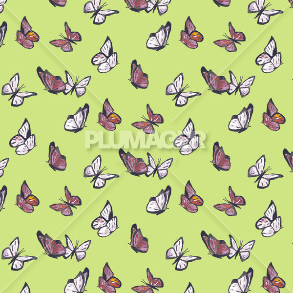 Ataturk Butterfly - Colourway 3