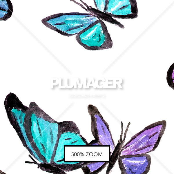 Ataturk Butterfly - PLEK0001