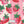 PLFZ2005-StrawberryStripe - Zoomview