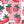 Strawberry Stripe - PLFZ2005