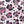 Jaunty Jaguar - PLFZ2007