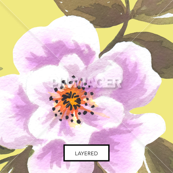 Wild Rose - PLFZ2012