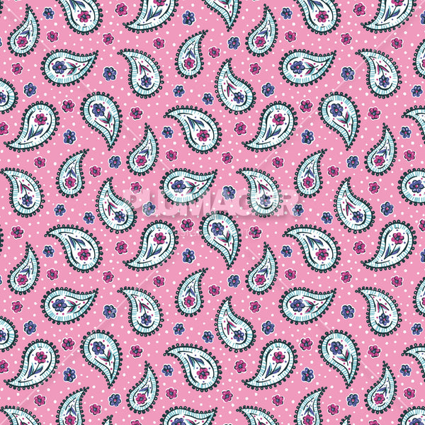 PLFZ2013-PleasantPaisley - Colorway 1