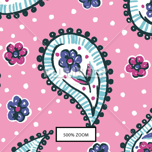 PLFZ2013-PleasantPaisley - Zoomview