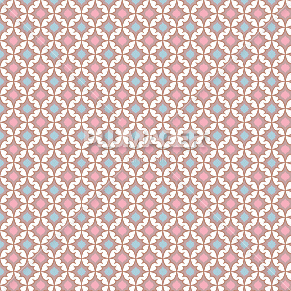 PLFZ2021-EvelinaGeo - Colorway 1