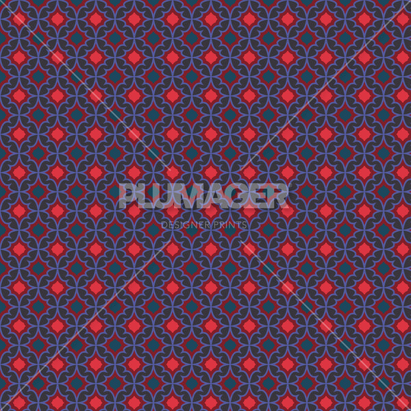 PLFZ2021-EvelinaGeo - Colorway 5