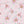 Blossom Ballet - PLFZ7486