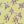 Blossom Ballet - PLFZ7486