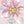 Blossom Ballet - PLFZ7486