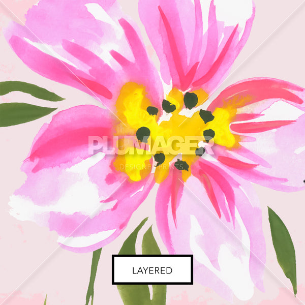 Blossom Ballet - PLFZ7486