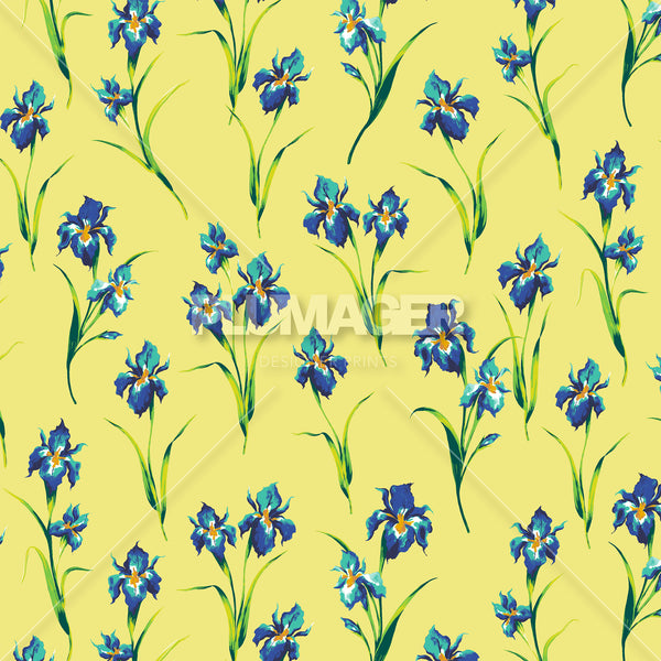 Iris You Were Here - Colorway 4