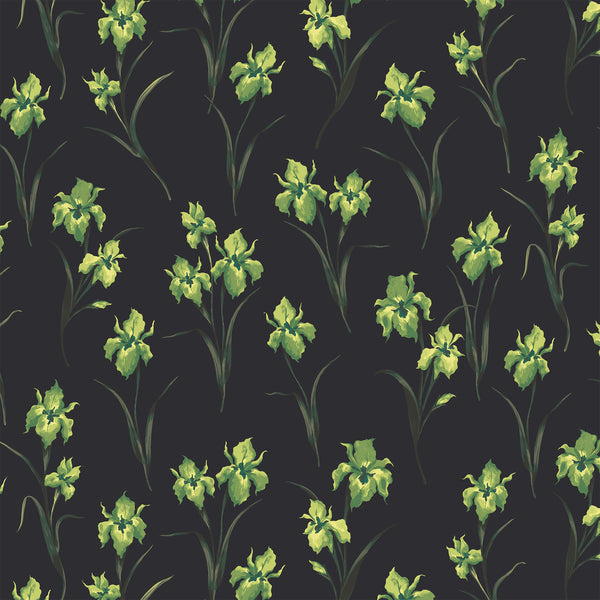 Iris You Were Here - Colorway 5