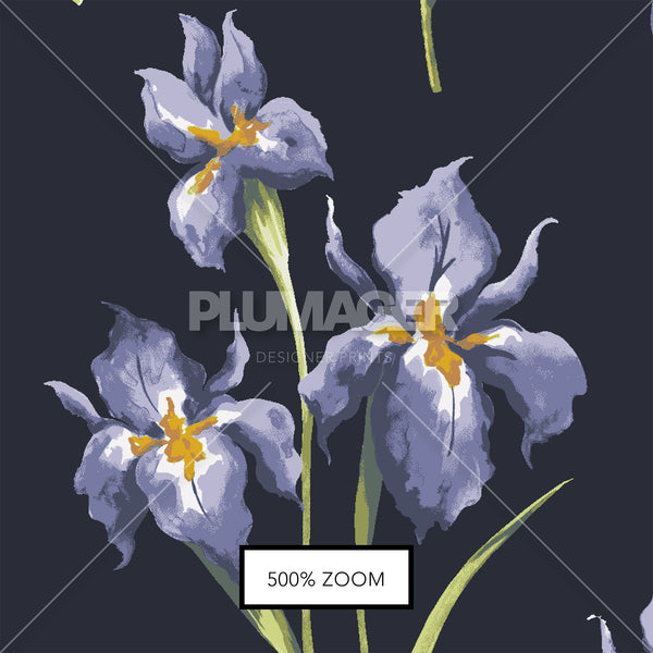 Iris You Were Here - Zoomview