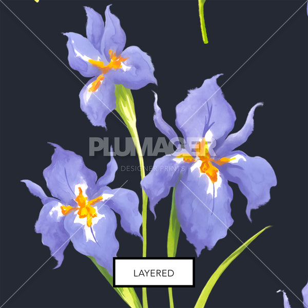 Iris You Were Here - Layered