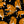 Tiger Trail - PLFZ7509