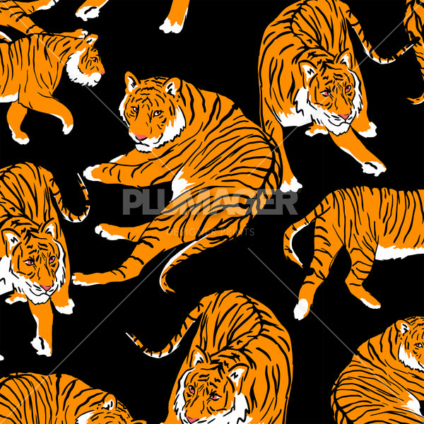 Tiger Trail - PLFZ7509