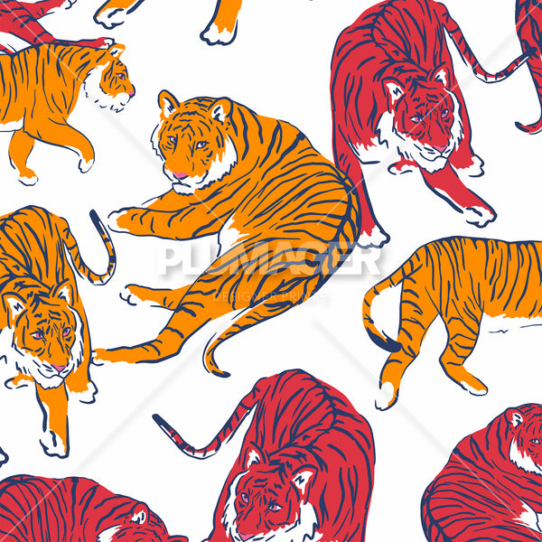 Tiger Trail - PLFZ7509