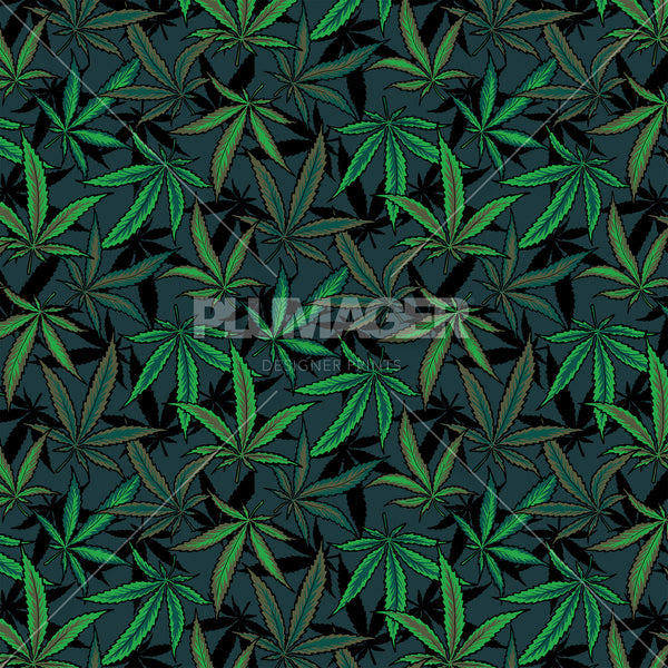 Beyond Be-Leaf - PLFZ7510