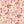Claudia Floral - PLFZ7514