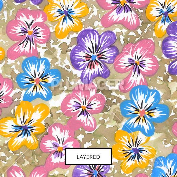 Fancy Pansy - PLNN2011