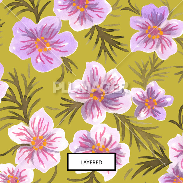 Ofelia Floral - PLNN2012