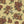 PLNN2015-PeacefulPeony - Colorway 2