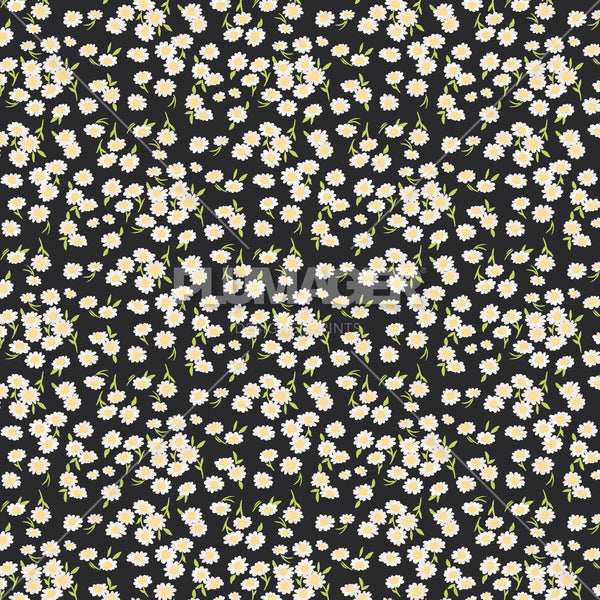 PLNN2101-SoftDaisies - Colorway 2
