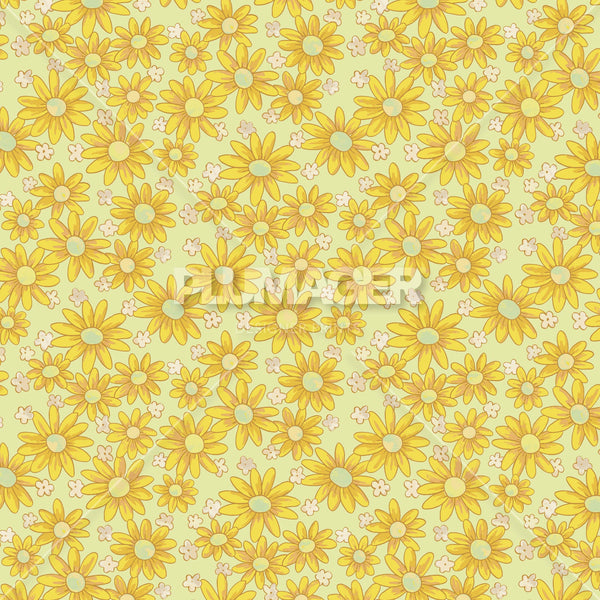 PLNN4051-SunnyDaisy - Colorway 2