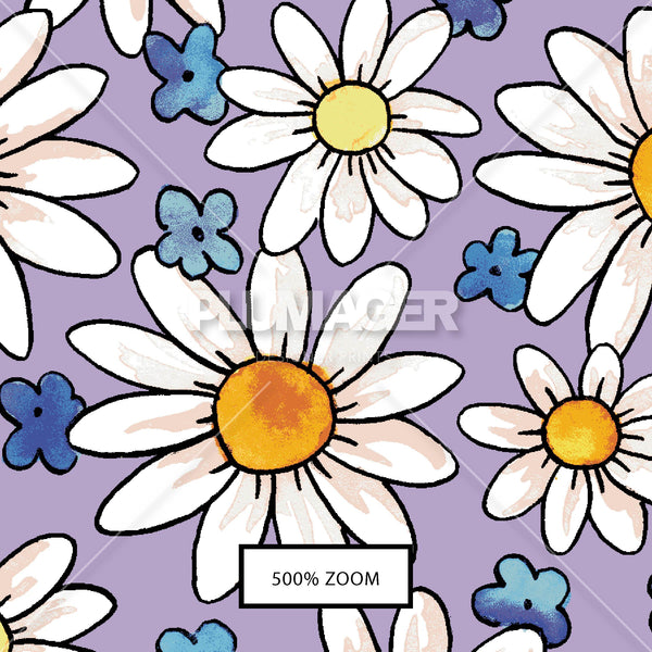PLNN4051-SunnyDaisy - Zoomview